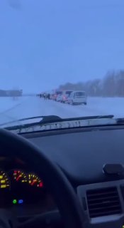 Колонна силовиков и ветврачей приехала в новосибирскую Козиху усыплять животных в крупном хозяйстве — «7х7»На работу не пустили сотрудников фермерского хозяйства «Водолей», где находятся 600 коров и 220 овец. По словам главы хозяйства, чиновники не показыв