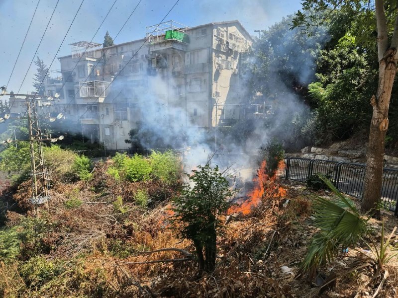 אור רביד