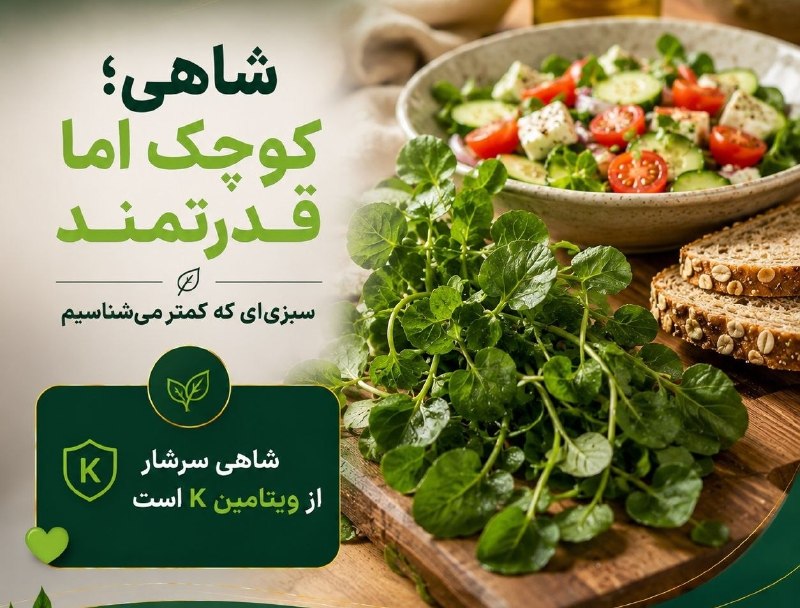 داروخانه گیاهی: 🍆 شاهی؛ سبزی کوچک با ارزش غذایی بالا🥬 شاهی از سبزیهای کمکالری و سرشار از ویتامین K، ویتامین C و ترکیبات گیاهی مفید است