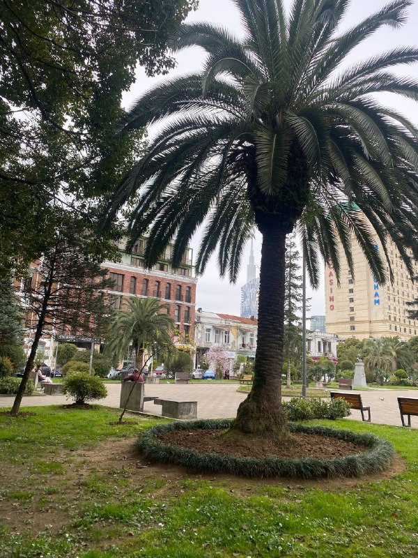 📍 Сдаётся большая уютная студия(40 кв.м)