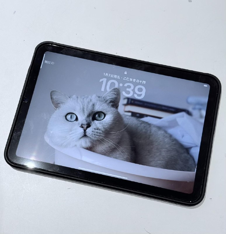 一个月内两次把 iPad Mini 丢在飞机上了感谢机场的失物招领处值得信赖