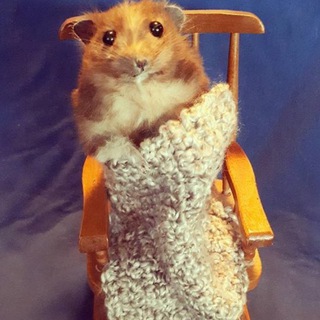 Telegram profile photo for 🏡 Уютный | Инвестиции