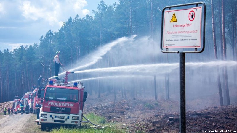 Фоторепортеры из Германии поджигали лес и поля ради хороших снимков. Их осудили Земельный суд Дессау-Росслау в федеральной земле Саксония-Анхальт приговорил двух фотожурналистов к тюремным срокам за многочисленные поджоги, при этом один из сроков - условны