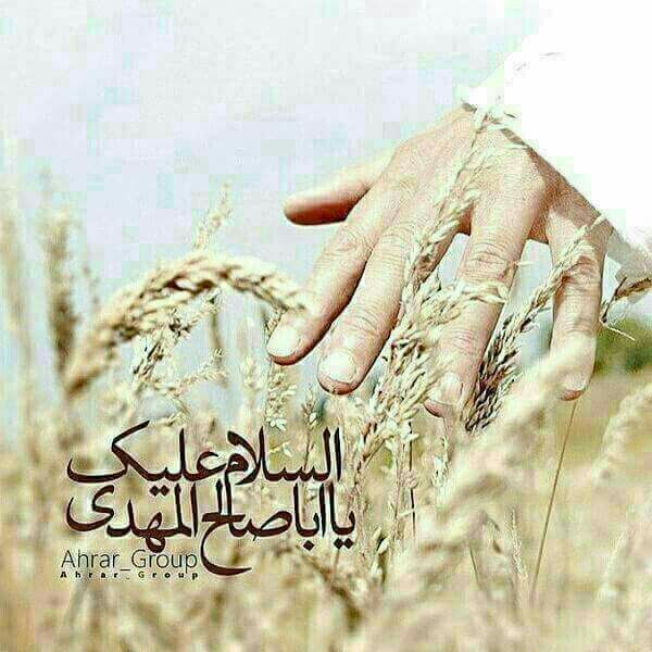 مهدي آل البيت ع: ﷽ للقائم منا غيبة امدها طويل ✍ كمال الدين: الشَّيْبَانِيُّ، عَن الأسَدِيّ، عَنْ سَهْلٍ، عَنْ عَبْدِ الْعَظِيم الْحَسَنِي