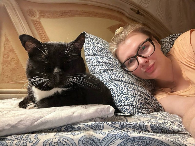 Не устаю радоваться, когда вижу успехи в одомашнивании очень сложного котика. На улице он видел всякое, может — фото 1