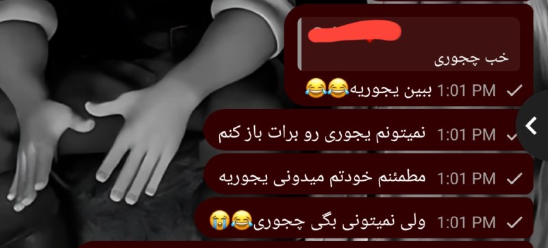 |𓃱 مِلمـَـــــن|: من وقتی میخوام یچیزیو توضیح بدم برای یکی:[مِلمَن]