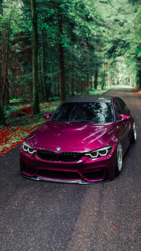 https://t.me/bmw_mpower_club