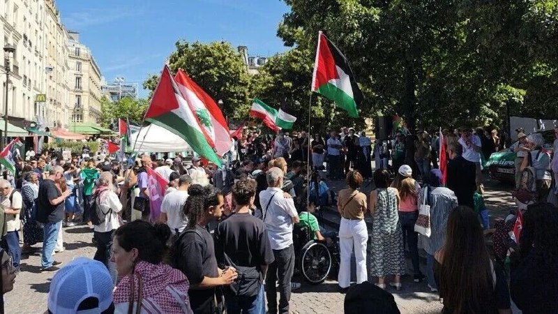 תומכי פלסטין הפגינו בשוודיה ובצרפת