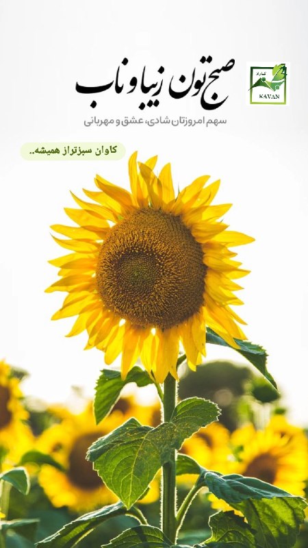 کاوان،سبزتر از همیشه..🌱: رسانه پست