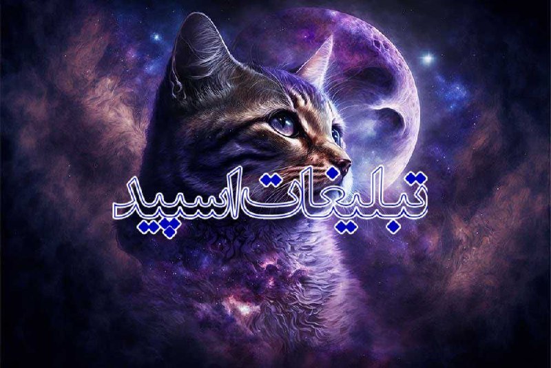 گروه دخترونه دوستیابی قم: ❶﹚ نام : 𝐇𝐀𝐌𝐑𝐀𝐙❷﹚ نو؏ تبلیغات : #telegram❸﹚ توضیحات :به 𝐇𝐀𝐌𝐑𝐀𝐙 خوش اومدین♥️دورهمی دوستانه👫💤شیطونی💤❤️❤️رل یابی❤️❤️ویس کال