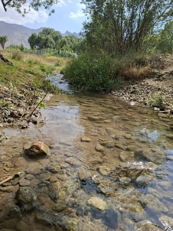 باغ نو: ✳️🔴سه شنبه۲۷ مردادماه ١۴٠۵۵ ربیع الاول ۱۴۴۸۱۸ اوت ۲۰۲۶📷 دیروز سرچشمه افوس/فرستنده: f.......#در_موردش_فکر_کن:▫️موفقیت وا
