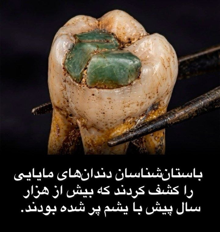 اطلاعات عمومی ❀: مایاها هزار سال پیش دندانپزشکی میکردند! 😳🦷مایاها بیش از هزار سال پیش، برای درمان مشکلات دندانی روی دندانها مداخله می