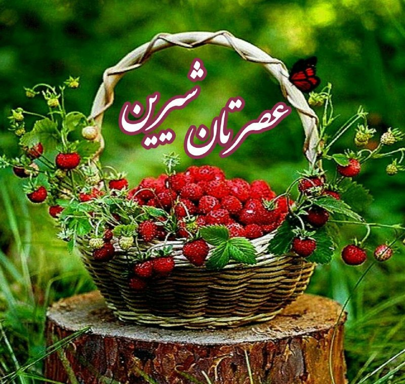 کانال فراسو مدیا 💯: ‌تنها زمانى "صبور" خواهى شدكه "صبر"را يک "قدرت"بدانی🌺🍃نه يك "ضعف"آنچه "ويرانمان"مى كند،"روزگار"نيست!حوصله ی "كوچك"براى "