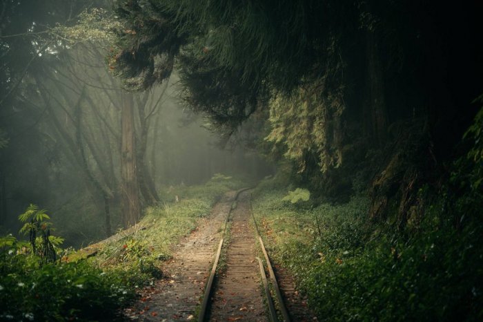 眠月線與水漾森林｜毀滅後的美麗重生