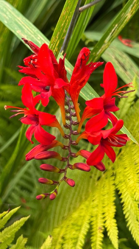 Уехала к бабушке за воспоминаниями из детстваВажная часть жизни, которую я отодвинула в сторону на многие годы — лет 10. Сама себя наказала, отказавшись от такой красоты 😍Уехала к бабушке за воспоминаниями из детстваВажная часть жизни, которую я отодвинула в сторону на многие годы — лет 10. Сама себя наказала, отказавшись от такой красоты 😍