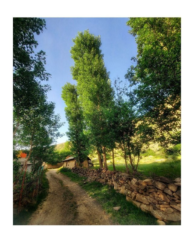 بابل شهر من: طبیعت زیبای ارتفاعات بابلروستای زیبای لههعکس از منیره داداش پور🅱 @babolshahreman📷 instagram.com/babolshahreman