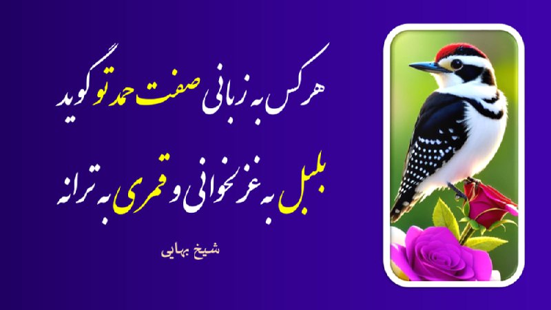 خبرتازه افغانستان: 🕋بسم الله الرحمن الرحیم🕋🗓 امروز چهار شنبه ‌ ↯☀️ 28 اسد 1405🌙 5 ربیع‌الاول 1448🎄 19 آگوست 2026🌾هرکس به زبانی صفت حمد تو گ