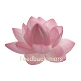 Feedback mors