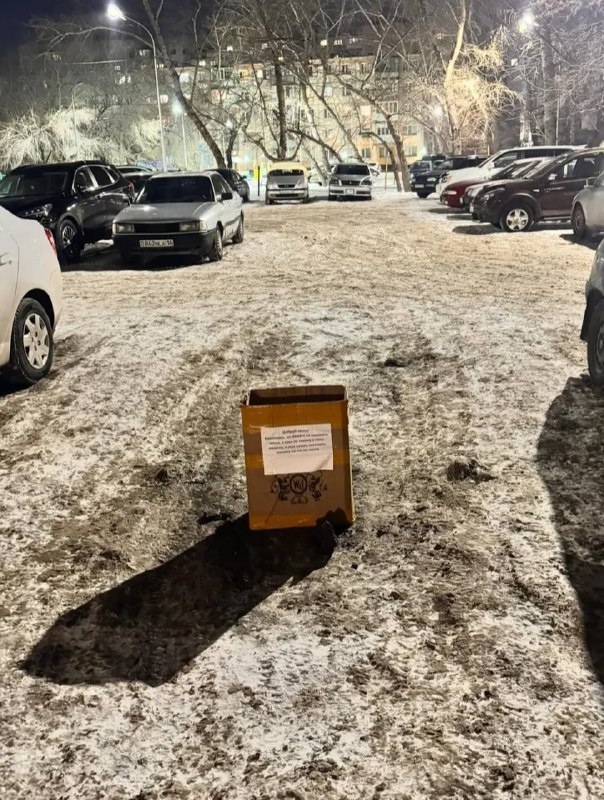 В одном из Павлодарских дворов 2