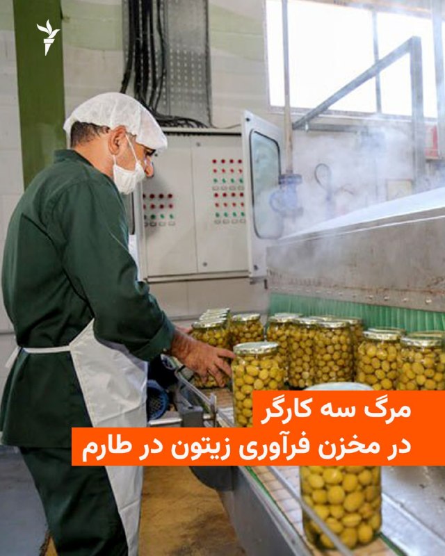 🔸 Three workers of an olive processing unit in Gilban district in the city of Tarem died as a result of an accident in the olive storage and processing tank.