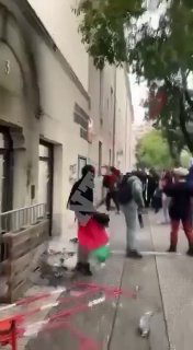 דגלי פלסטין מתנוססים גבוה בצרפת ומהגרים מהדור השני והשלישי תוקפים בתי ספר ברחבי המדינה