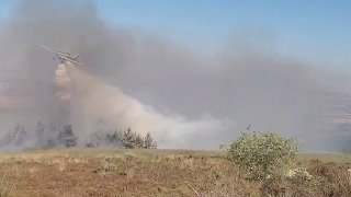 שריפה סמוך לעין מאהל: כוחות כיבוי וטייסת פועלים לבלימת האש
