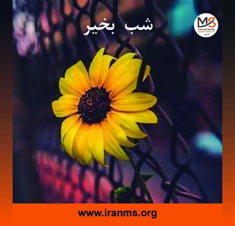 انجمن ام‌اس ایران: @iranmSociety https://instagram.com/iranmss https://www.instagram.com/msgiftiran?igsh=cmplYTJib3Zhb3hvhttps://t.me/MSgif