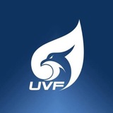 VF FOTO|VIDEOLAR🎥
