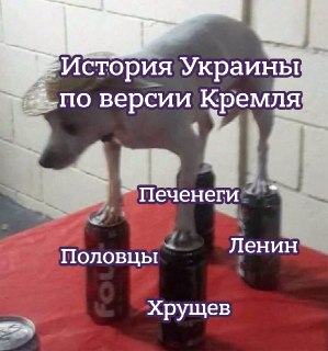 В России готовят учебник истории Украины для украинских школьников.«Мы будем говорить правду, а как донести его до школьников на той территории, которая находится ещё под контролем киевского режима, — это уже отдельный вопрос. […] Это будет правдивый учебн