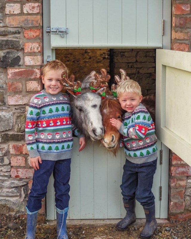 Ничего милее вы сегодня уже не увидите Магия уютного дома Please open Telegram to view this post VIEW IN TELEGRAM - изображение 5 - telegram, view, ничего