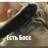 Говорит и показывает