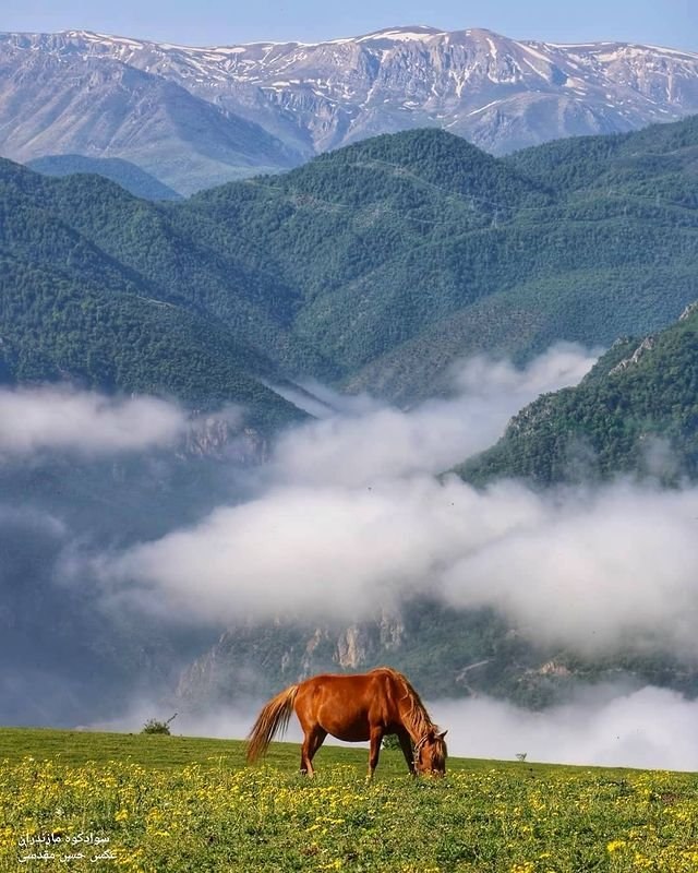 National Geographic farsi: سواد کوه مازندران📸 : Hossein moghadasi🌏 | @NationalGeographicFarsi