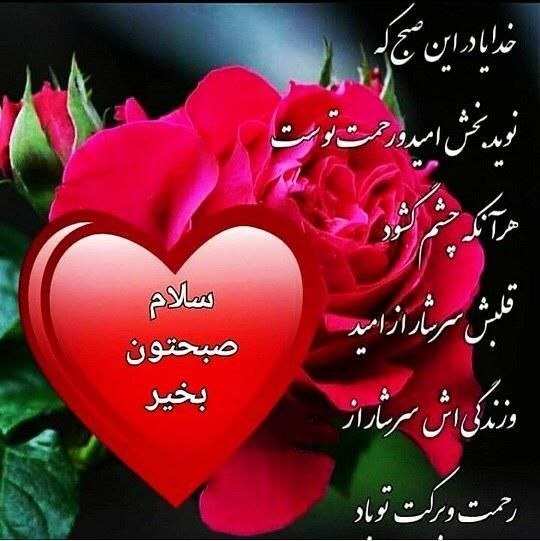 🍃﷽🍃 سنگ صبور🍃﷽🍃: 🍂🌹 @sangesabur 🌹🍂