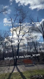 t.me