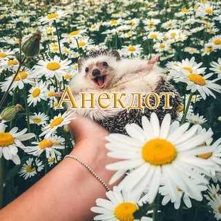 Анекдот
