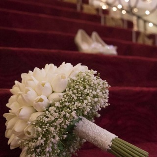 Telegram profile photo for أناشيد أفراح _دف فقط