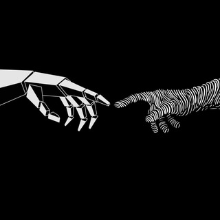 Сингулярити 🎉 Telegram Group Link