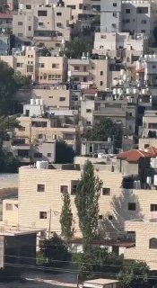 כוחות הכיבוש מסתערים על מחנה אל-ערוב, מצפון לחברון.