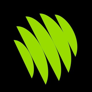 Telegram profile photo for DCASK News