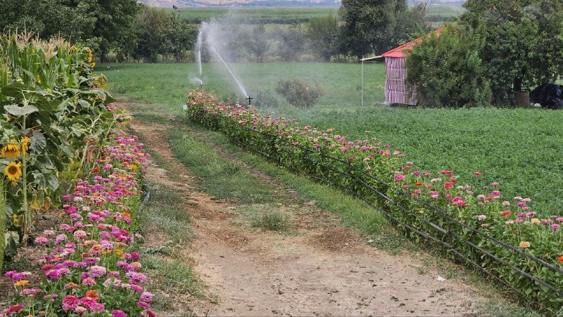 شاره‌ که م مریوان: 🗓 ئەمڕۆ سێشەممە🌻٣ی خەرمانان٢٧٢۶ی کوردی🌻٣ی شەهریوەر ۱۴۰۵ی هەتاوی🌻٢۵ی ئاگۆست ۲۰۲۶ی زایینی#شاره‌که‌م_مه‌ریوان @marivanii