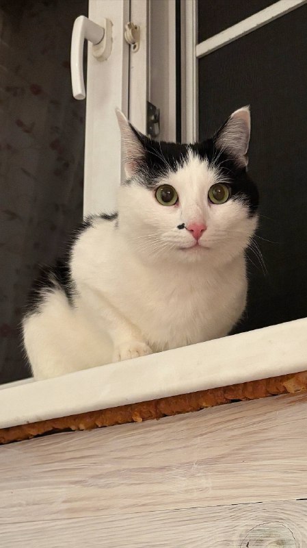 Ода Булочке — фото 2 из 3