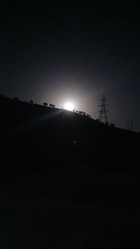 وێزیەر 🌹 یوزیدر: قەت ئەوەندە هەستم بەچۆڵ بوونی دونیا نەکردبوو📷 کاک سەلاح یوزی@wezyar