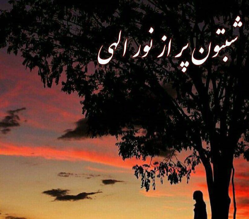 🌹روزگاری غریب🌹: ✨الهـی🦋✨تو این✨شب زیبـا🦋✨هیـچ قـلبى 🦋✨گرفته نباشه✨وهرچى خوبیه 🦋✨خداست براى همه✨خـوبان رقم بخوره🦋✨آرامـــــش مهمـــــون✨ه