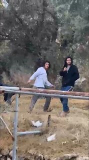 דחוף | 4 פצועים כתוצאה מהתקפה של מתנחלים על משפחת "אבו עיישה" בעת מסיק זיתים בשכונת תל ארמידה בעיר חברון.