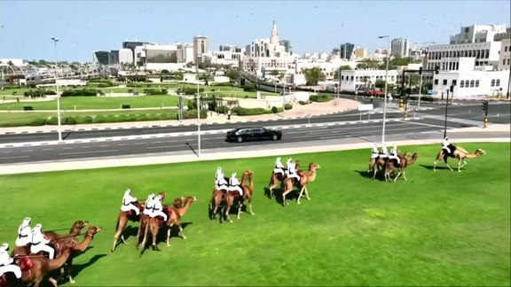 Parade of camels welcome Trump motorcade to Qatar