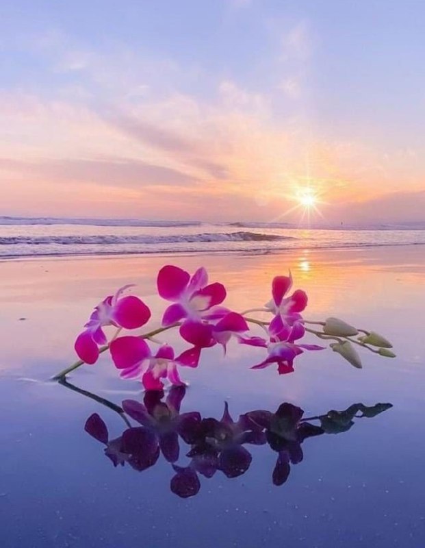 پاییزان: ‌🌸زندگے 🌷با عشق پراز شادیست🌸زندگے 🌷با لبخند رویایے ست 🌸زندگے 🌷با مهر تماشایے ست🌸امیدوارم🌷زندگے تڪ تڪ شما با شادی🌸عشق ، م