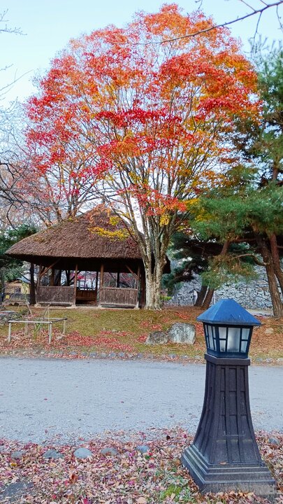 長野縣小諸城址懷古園賞楓記