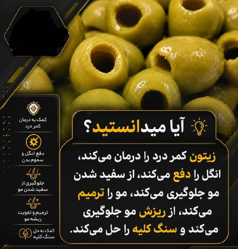 اخبار مرکزی: ♦️خواص درمانی زیتون🫒#دانستنی@akhbar_markazi