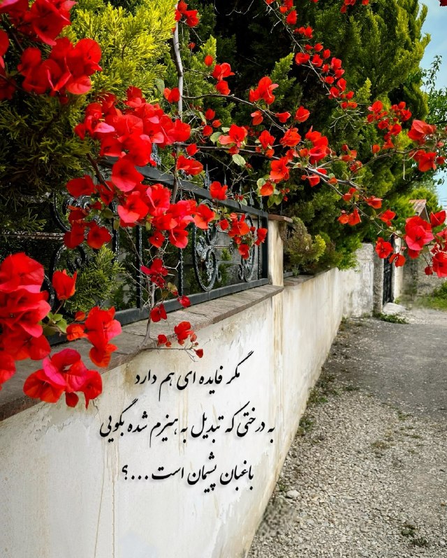 ️گالری عکس و پروفایل: ⭐️@aks_profilestar