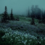 [Больничный😣] _𝓨𝓸𝓾 𝓪𝓻𝓮 𝓵𝓲𝓴𝓮 𝓹𝓾𝓻𝓮 𝓼𝓽𝓪𝓻𝓵𝓲𝓰𝓱𝓽_ _𝓓𝓪𝓷𝓬𝓲𝓷𝓰 𝓽𝓱𝓻𝓸𝓾𝓰𝓱 𝓶𝔂 𝓿𝓮𝓲𝓷𝓼_